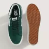 Pantofi Sk8-Hi Pantofi Sk8-Hi
