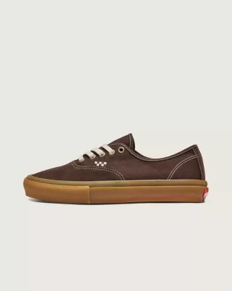 Pantofi Skate Authentic