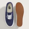 Pantofi Skate Authentic Pantofi Skate Authentic