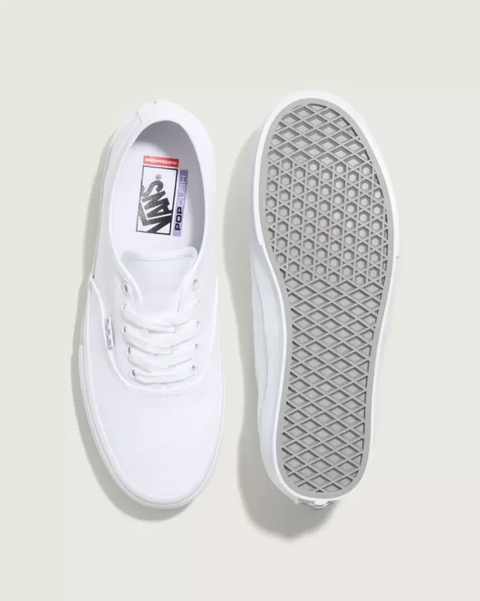 Pantofi Skate Authentic Pantofi Skate Authentic