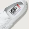 Pantofi Skate Authentic Pantofi Skate Authentic