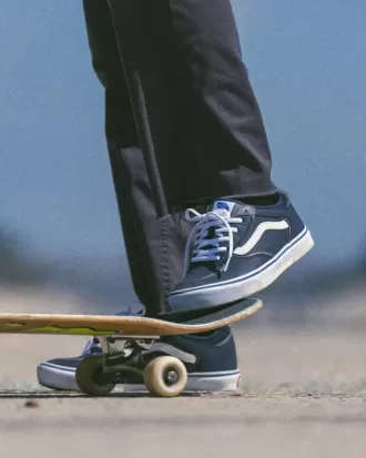 Pantofi Skate Rowley