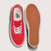 Skate Authentic