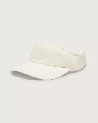 Vizor Edgeview
